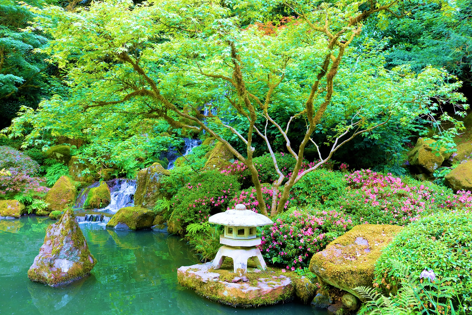 Portland Japanese Garden