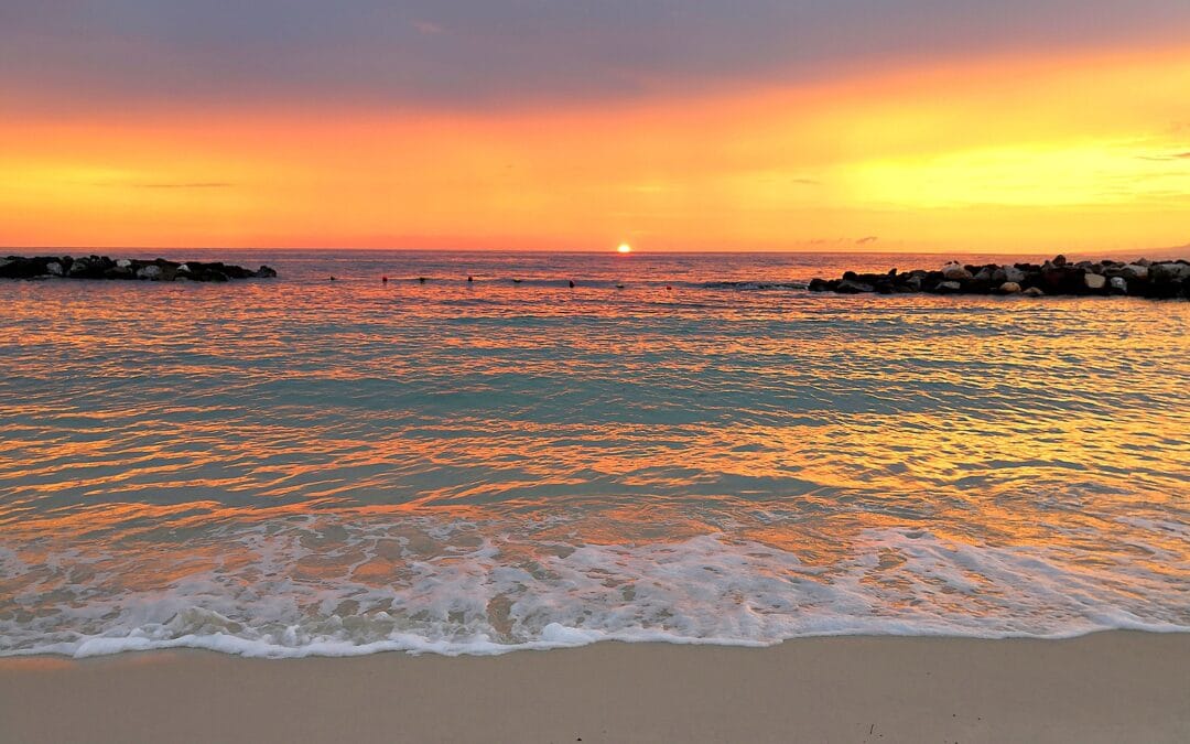 Cooper DuBois Portland Travel Puerto Vallarta Sites 2022